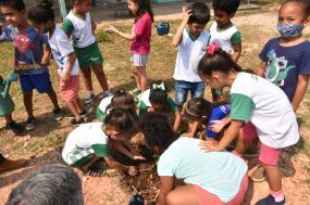 Estudantes participam de palestra e oficina de plantio de mudas de arvores nativas e frutíferas