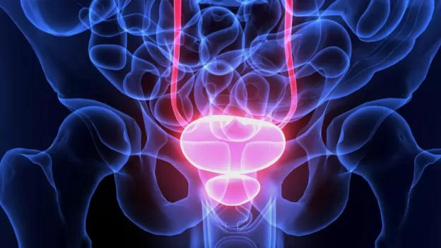Câncer de próstata: conheça os sintomas e saiba como é o tratamento
