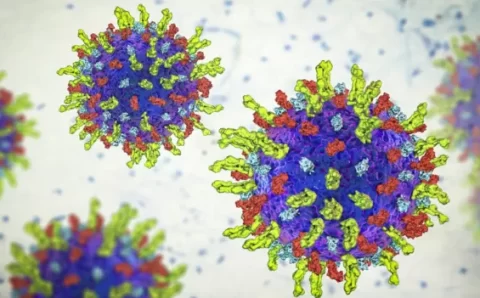 O vírus que destrói câncer e pode revolucionar tratamento de tumores avançados, segundo cientistas