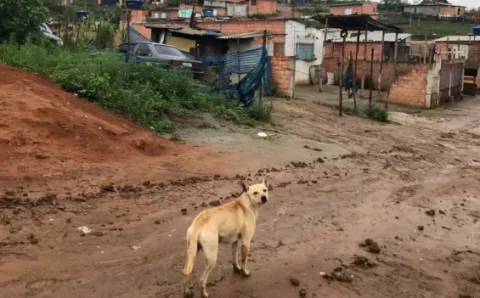 Fome e crise estão abrindo ‘hiperperiferias’ em São Paulo