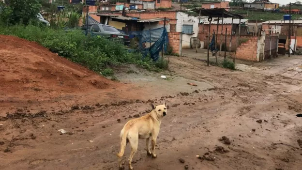 Fome e crise estão abrindo ‘hiperperiferias’ em São Paulo
