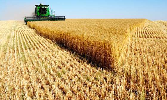 MT:  ANAIS DA AGROMITOLOGIA:    Uma radiografia de tudo o que agro não quer que você saiba