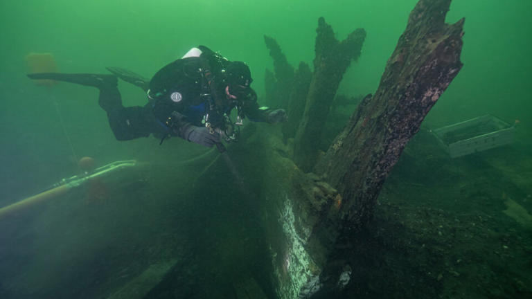 Cientistas revelam novos segredos de navio naufragado no século 15
