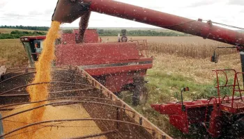 Exportações do complexo soja BR poderão ser recordes em 2023