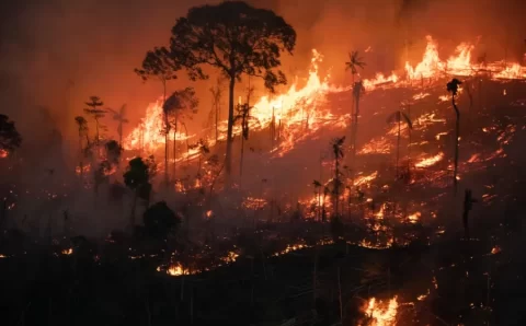 Desequilíbrio da Amazônia se aproxima do ponto de não retorno