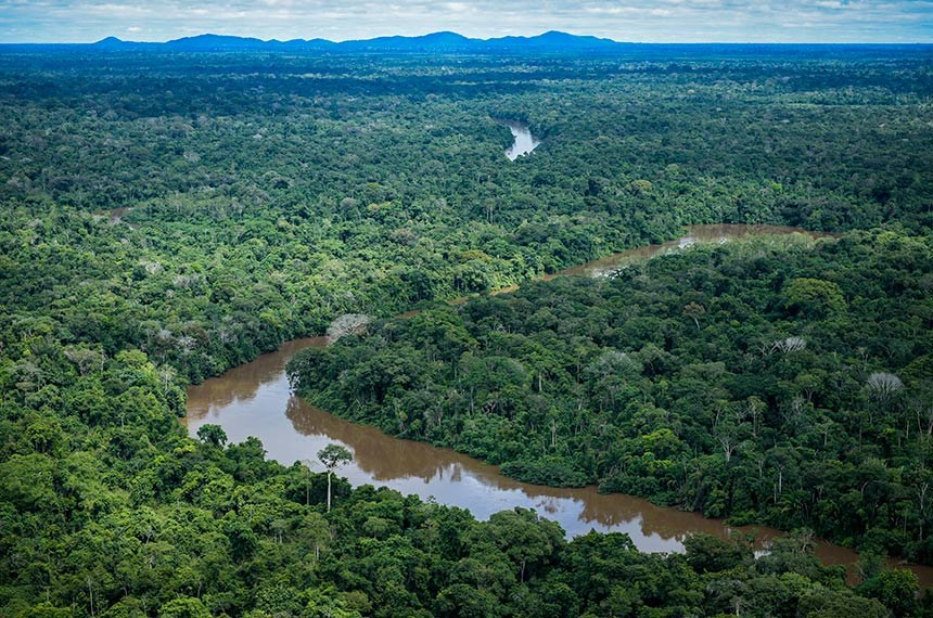 Juizado Ambiental de Rondonópolis promove semana de atividades para o Dia Mundial da Árvore