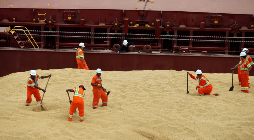 Importações de soja brasileira pela China caem 25% em agosto