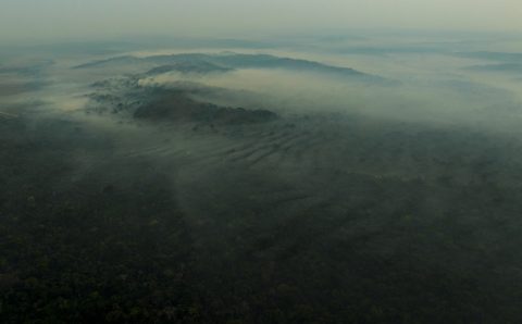 MT: Há um mês fogo devasta Unidade de Conservação na Amazônia mato-grossense
