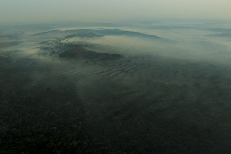 MT: Há um mês fogo devasta Unidade de Conservação na Amazônia mato-grossense