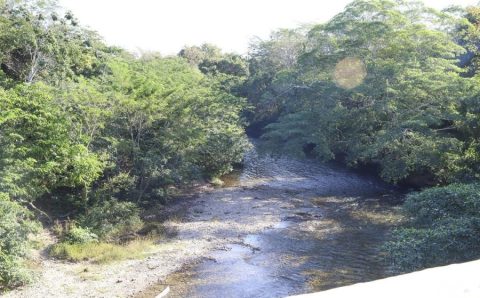 MT:  ÁREA EMBARGADA:  Juíza manda empresa devolver a clientes dinheiro pago por lotes no Coxipó do Ouro