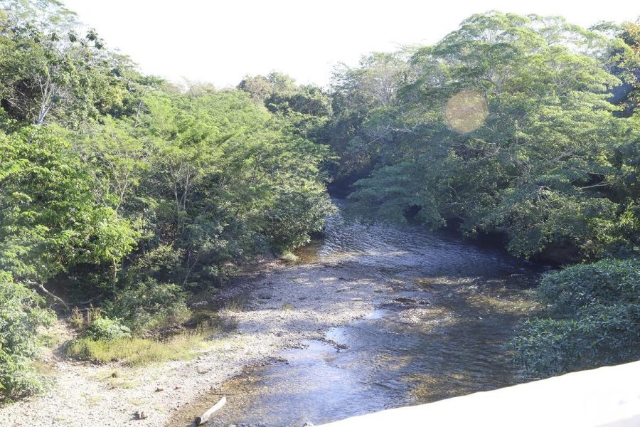 MT:  ÁREA EMBARGADA:  Juíza manda empresa devolver a clientes dinheiro pago por lotes no Coxipó do Ouro