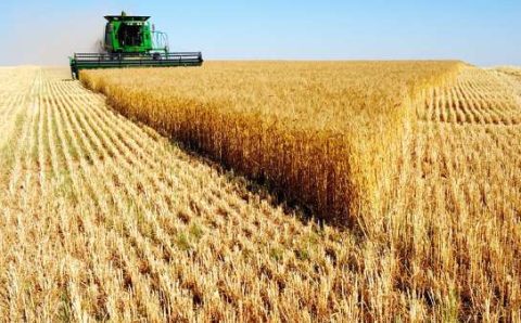 MT:  COM LULA OU BOLSONARO:    Ministério da Agricultura pode ser do agronegócio mato-grossense