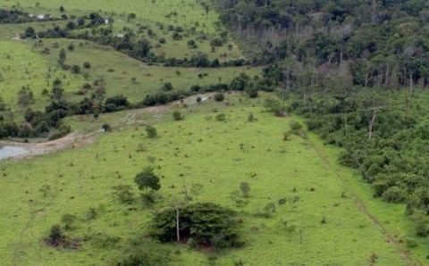 MT:  Força-tarefa detecta 200 propriedades com cadastro rural irregular em Mato Grosso