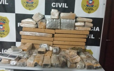Ação da Polícia Civil apreende 50 quilos de entorpecentes em região de chácaras em Lucas do Rio Verde