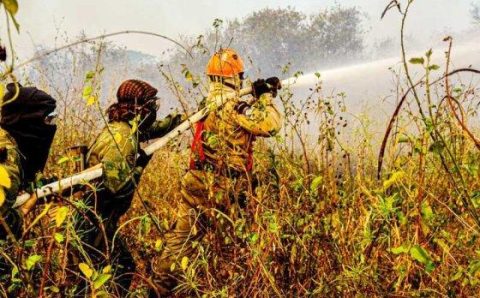 MT:  OPERAÇÃO ABAFA AMAZÔNIA:   Governo aplica R$ 41,5 milhões em multas no Norte de MT