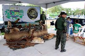 Comando-Geral da PM realiza festa para mais de 650 crianças em Cuiabá