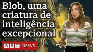 Blob, a criatura sem cérebro expert em resolver problemas
