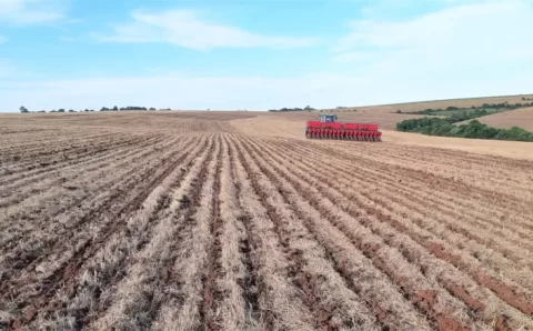 Em três meses, Indea promoveu 5,7 mil fiscalizações na cultura da soja