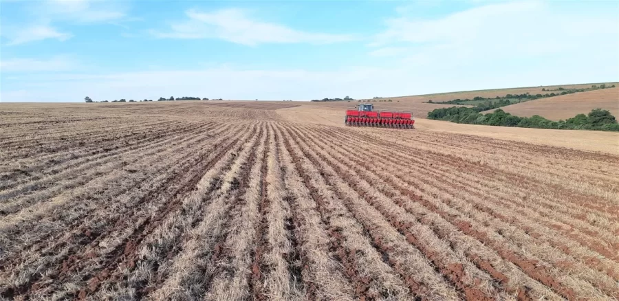 Argentina perde metade da safra de soja em sua principal região produtora devido à seca