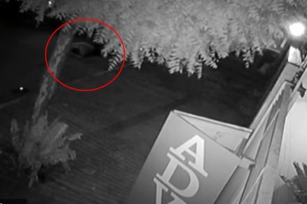 PERSEGUIDO E EXECUTADO: Câmera de segurança flagra assassinato em cidade de MT