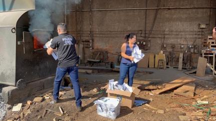 Polícia Civil incinera cerca de 12 quilos de drogas apreendidas na cidade de Aripuanã