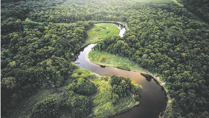 Fórum Econômico Mundial prepara estudo inédito sobre financiamento à transição verde no Brasil