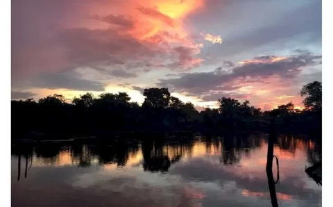 Brasil e Banco Mundial anunciam ação de proteção ao Cerrado e aumento da agropecuária de baixo carbono