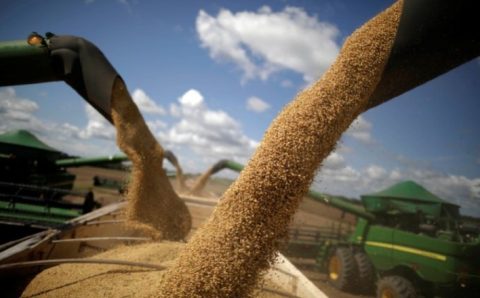 MT pode elevar produção de soja em até 56% em 10 anos, diz Imea