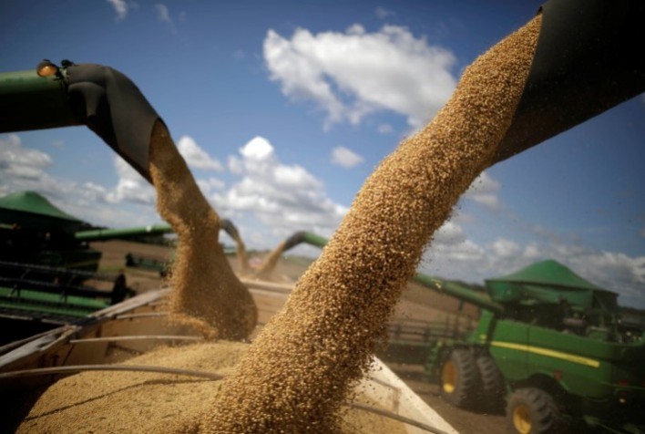 MT pode elevar produção de soja em até 56% em 10 anos, diz Imea