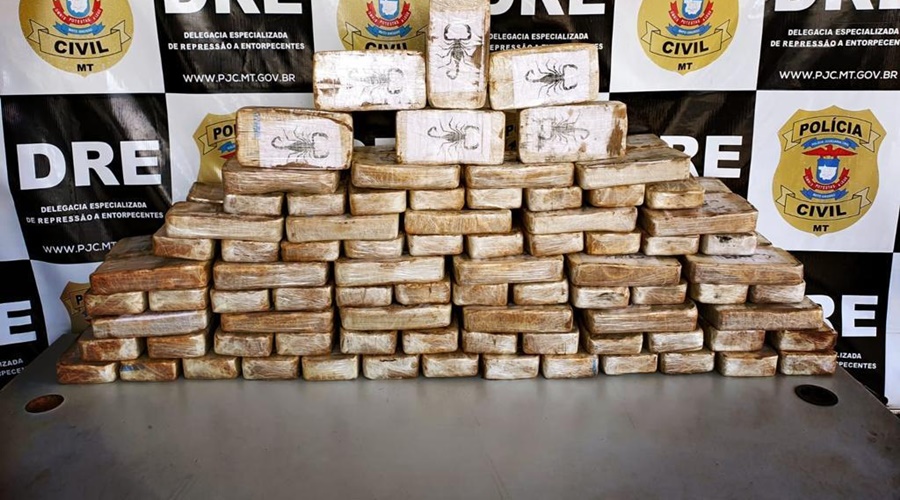 COMBATE AO TRÁFICO 2022: Delegacia de Entorpecentes incinerou mais de 7 toneladas de drogas