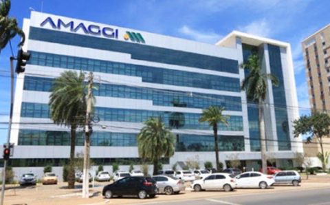 MT:   ‘CARBON DISCLOSURE PROGRAM’:     Amaggi é reconhecida por esforços na proteção das florestas