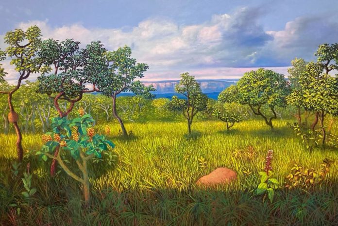 MT:  Museu de Cuiabá apresenta exposição com pinturas sobre o Cerrado