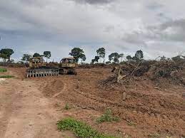 Operação conjunta apreende tratores usados para desmatamento ilegal no norte de MT