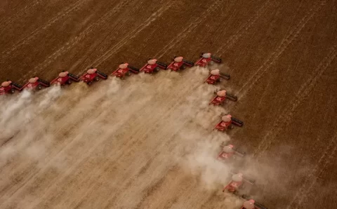 MT:  OFERTA MATO-GROSSENSE DE GRÃOS E FIBRA PODE SE APROXIMAR DE 150 MI T ATÉ 2032