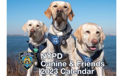 SÃO PEÇAS FUNDAMENTAIS: Cães e cavalos da polícia de Nova York são estrelas de calendário