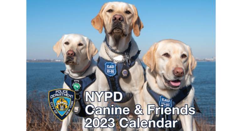 SÃO PEÇAS FUNDAMENTAIS: Cães e cavalos da polícia de Nova York são estrelas de calendário