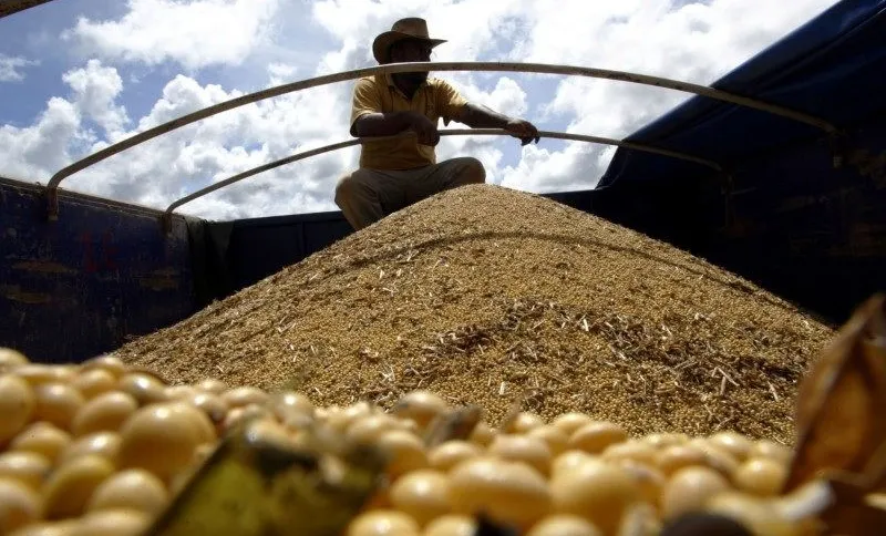 PIB agro do Brasil pode chegar a alta de até 2,5% em 2023, projeta CNA