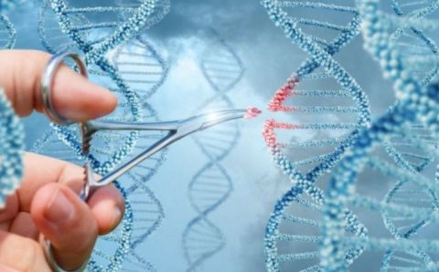 5 avanços científicos esperados em 2023