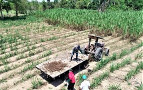 Secretaria de Agricultura amplia oferta do Projeto Biolodo a mais 13 produtores
