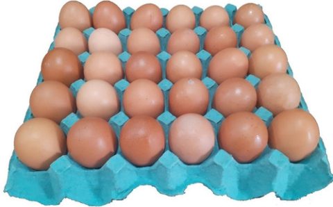 Como descobrir se um ovo está estragado?