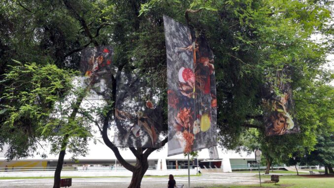 Museu Oscar Niemeyer inaugura projeto inédito com obras expostas nos jardins