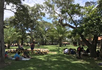 MT:  LAZER:   ‘Domingo no Parque’ tem música ao vivo, atividades na natureza e diversão gratuita