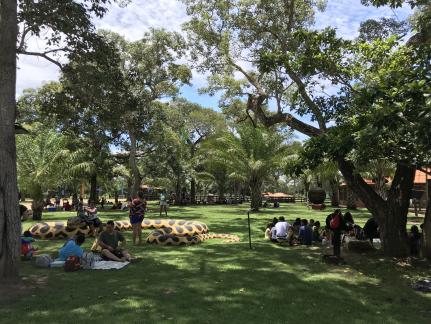MT:  LAZER:   ‘Domingo no Parque’ tem música ao vivo, atividades na natureza e diversão gratuita