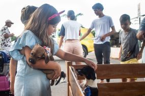 Feira de Adoção Voluntária de Pets tem nome dos mascotes definidos e todos os animais adotados em poucas horas