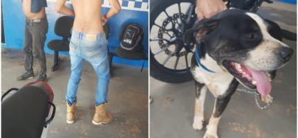 Dupla é presa por espancar cachorro no interior; animal foi vítima de zoofilia