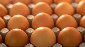 O que explica a escassez global de ovos de galinha