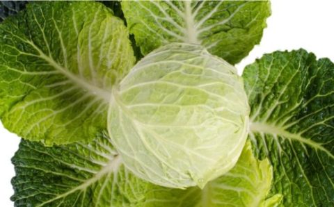 Resíduos humanos podem ser bons para usar como fertilizantes