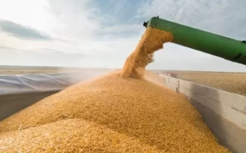 MT:   OFERTA INTERNA E DEMANDA EXTERNA CONFIRMAM RECORDES DAS EXPORTAÇÕES DO MILHO MATO-GROSSENSE