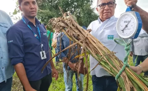 MT:  Resultado do uso de adubo sustentável é apresentado a produtores familiares de Cuiabá