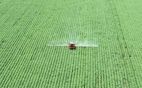 Safra agrícola deve atingir recorde de 296,2 mi de toneladas em 2023, prevê IBGE